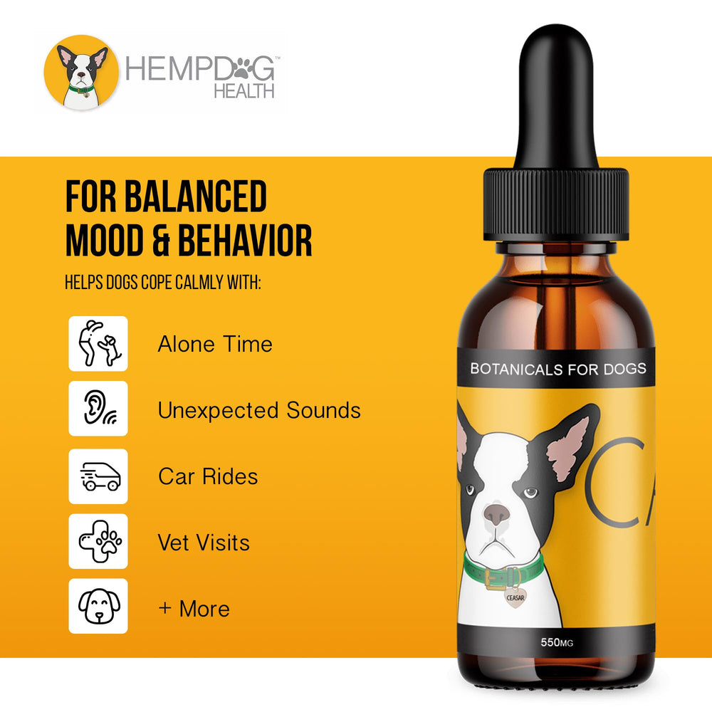 Hemp Dog Health Calm drops travel scene compatible with trips for calmer travels