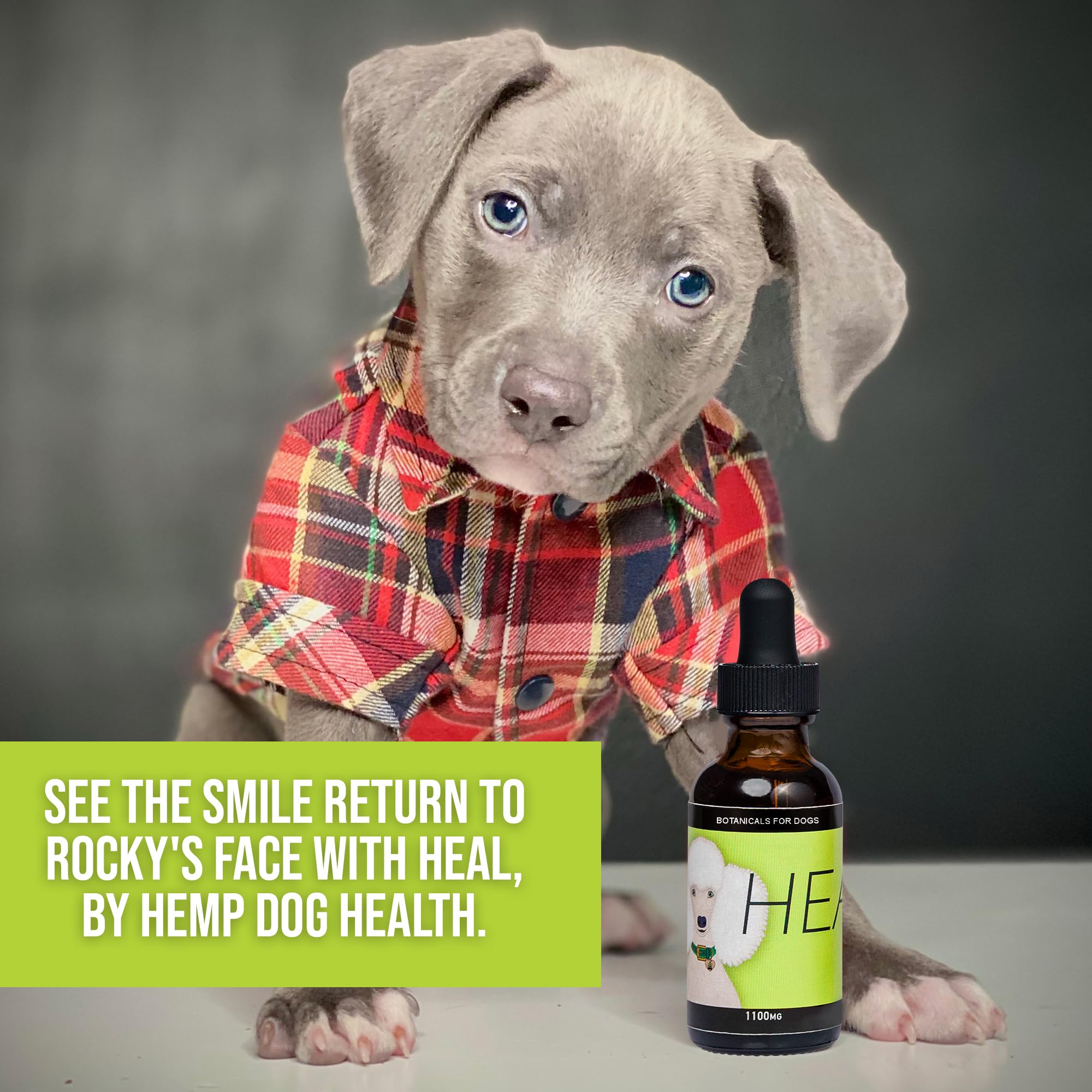 Hemp Dog Health Heal USA-made hemp oil for pets.