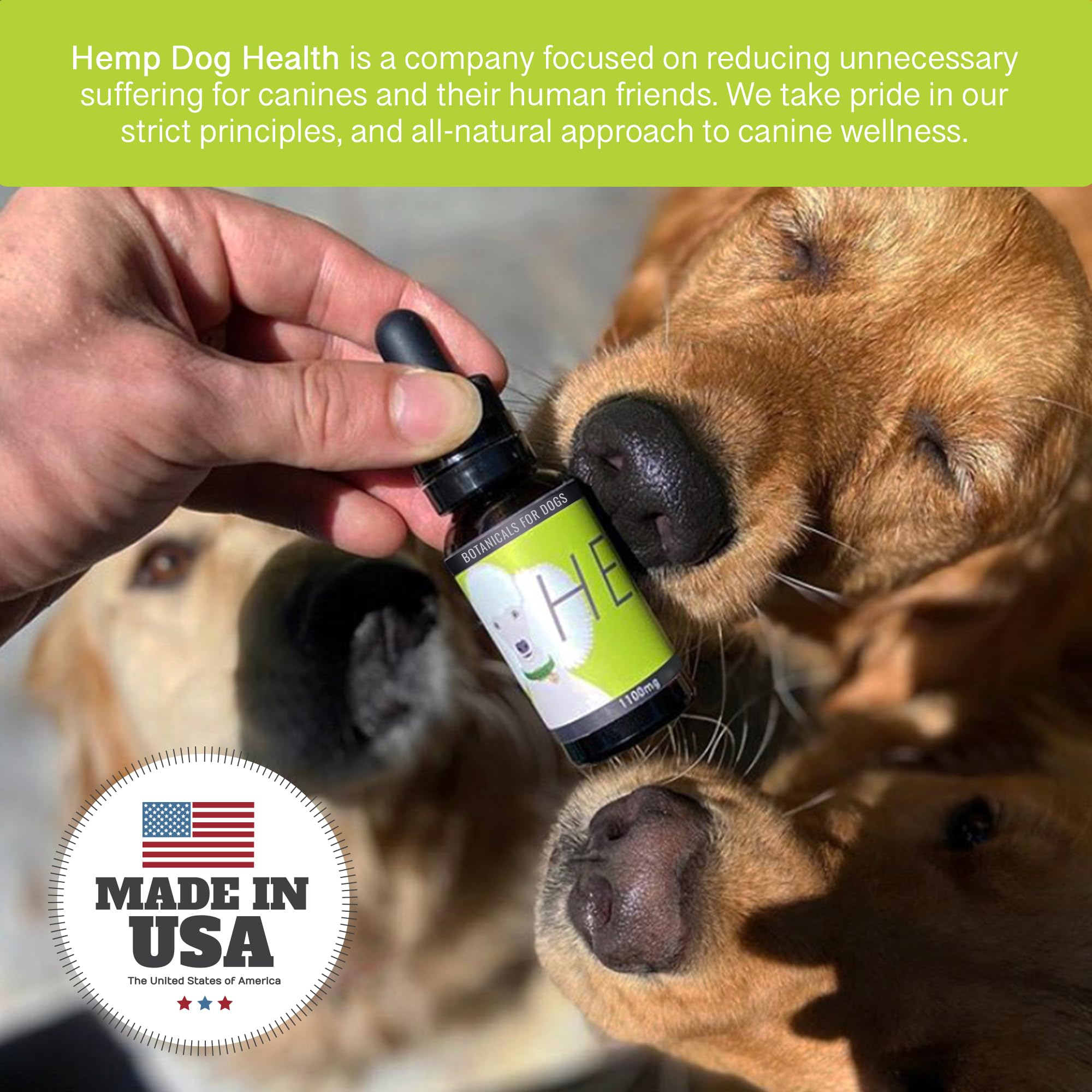 Hemp Dog Health Heal oil drizzled over dog's food bowl.