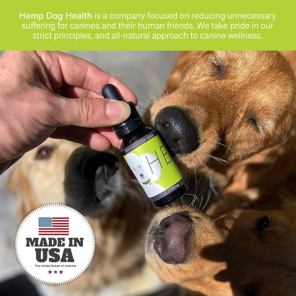 Hemp Dog Health Heal oil drizzled over dog's food bowl.