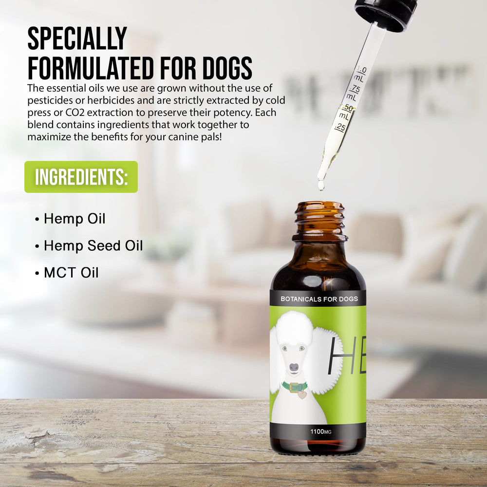 Hemp Dog Health Heal senior-dog moment of calm.