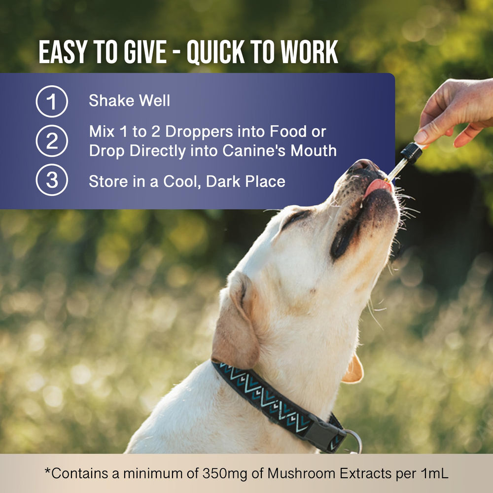 Hemp Dog Health MycoDog Breathe supports seasonal comfort with adaptogenic mushrooms