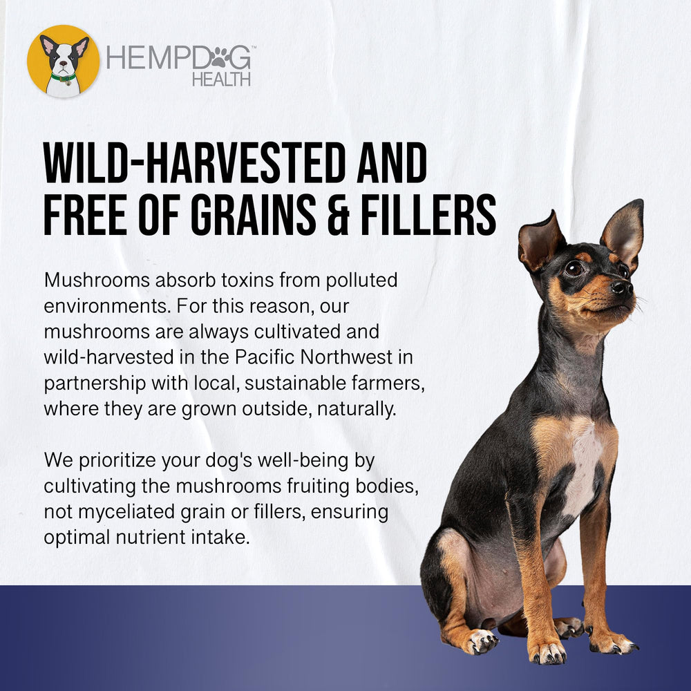Hemp Dog Health MycoDog Breathe made in the USA with fruiting bodies