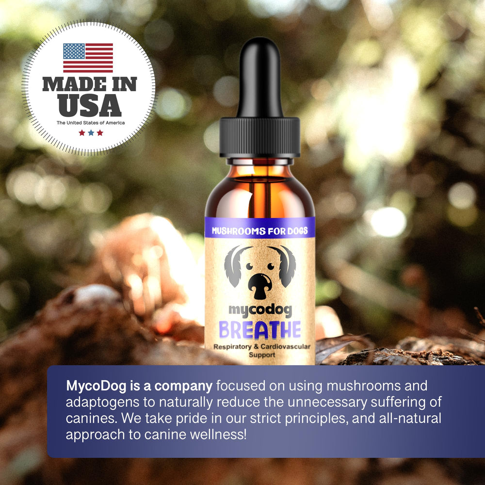 Hemp Dog Health MycoDog Breathe drops for daily breathing comfort