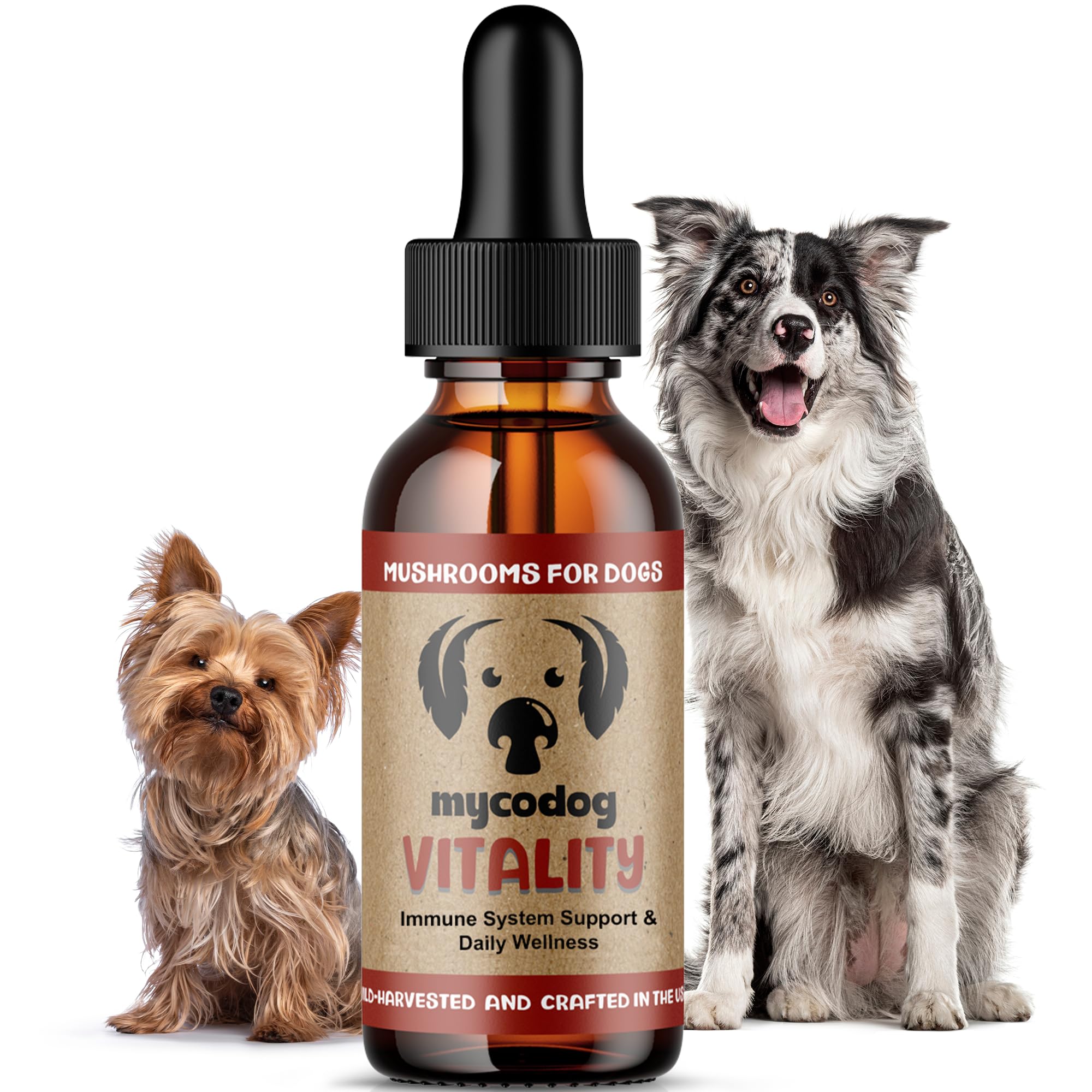 Hemp Dog Health MycoDog Vitality bottle front promotes daily wellness for dogs.