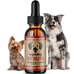 Hemp Dog Health MycoDog Vitality bottle front promotes daily wellness for dogs.