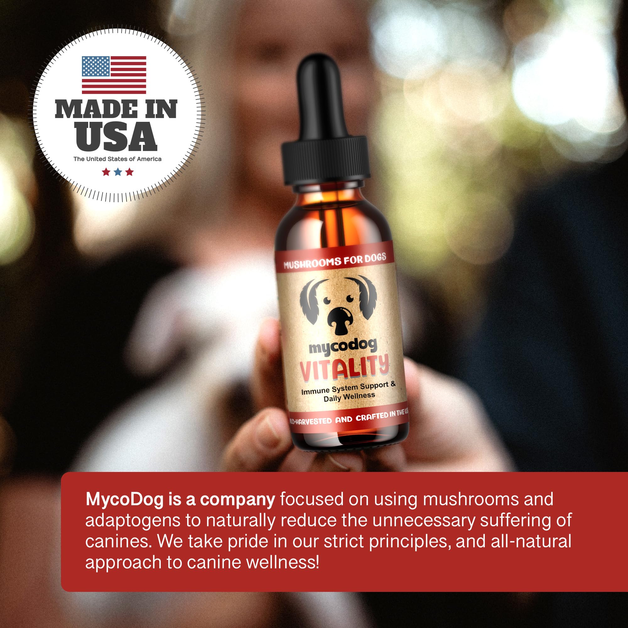 Hemp Dog Health MycoDog Vitality dog rest active scene suggests potential support for mobility and comfort.