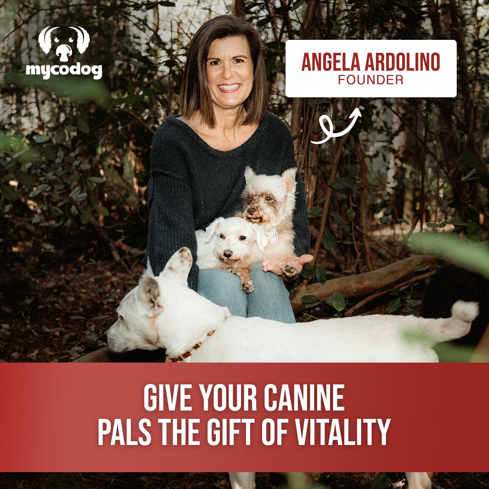 Hemp Dog Health MycoDog Vitality reishi mushroom image conveys calming adaptogen benefits for seniors.