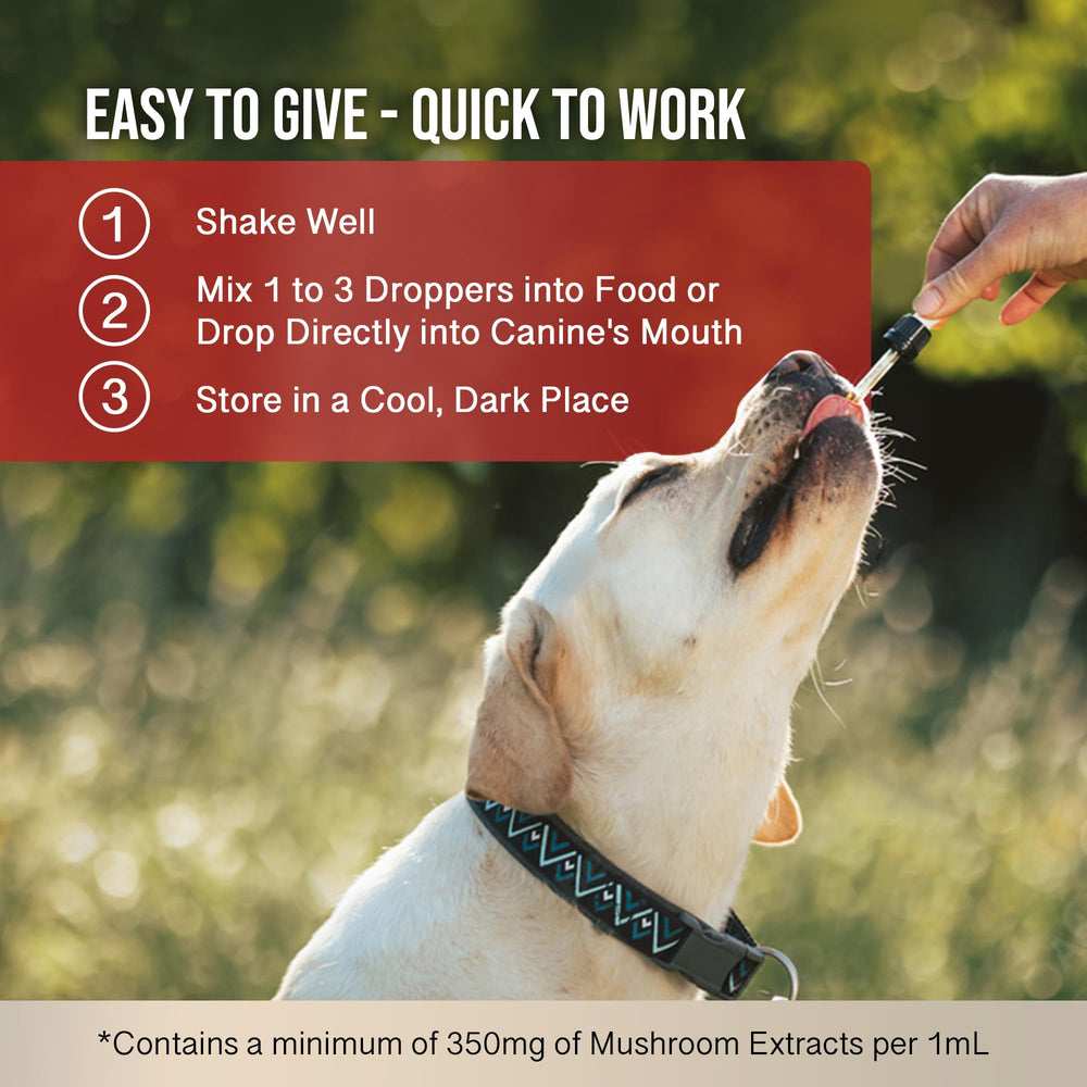 Hemp Dog Health MycoDog Vitality serving scoop shows easy daily dosing for busy owners.
