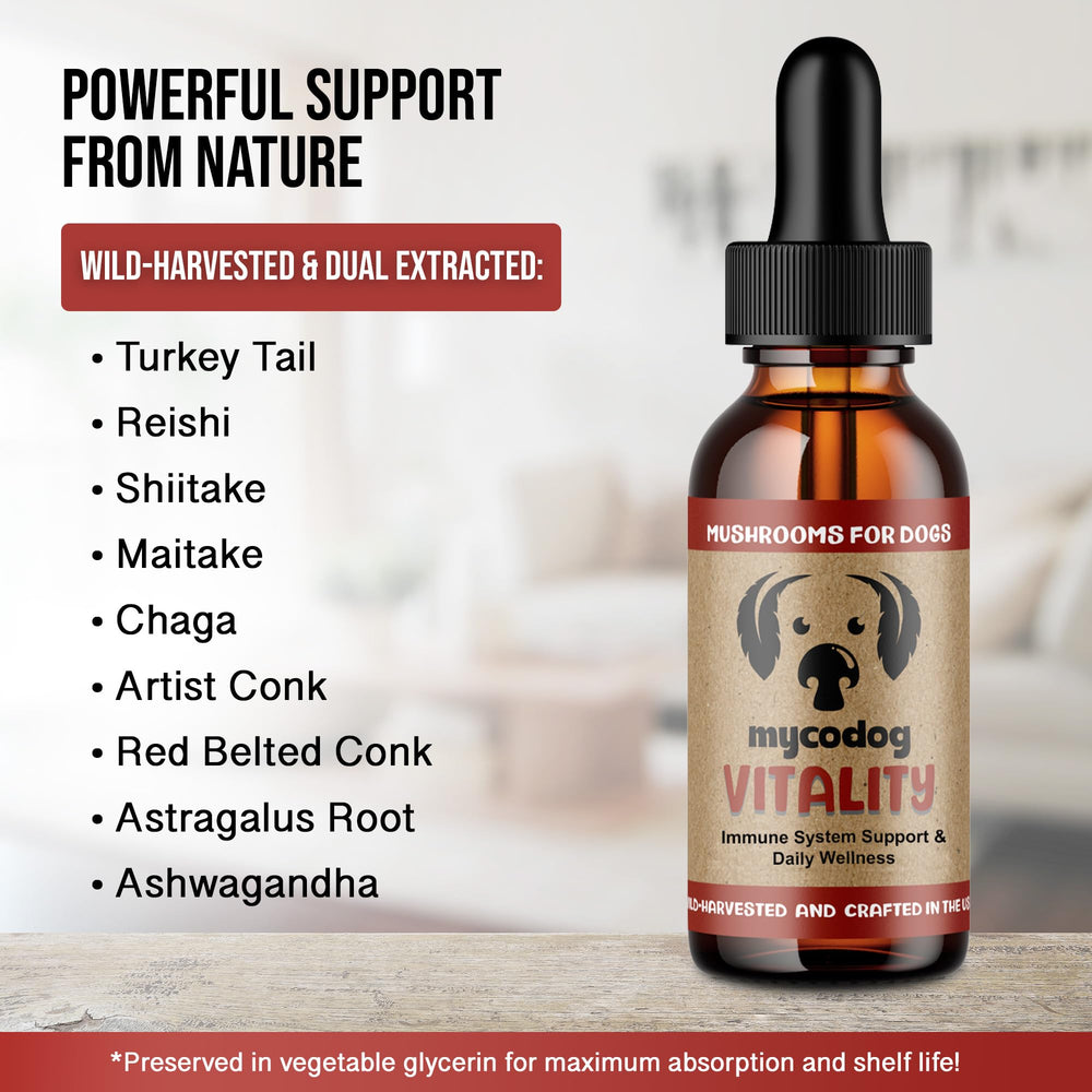 Hemp Dog Health MycoDog Vitality turkey tail mushroom focuses on supportive daily immunity potential.