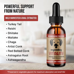 Hemp Dog Health MycoDog Vitality turkey tail mushroom focuses on supportive daily immunity potential.