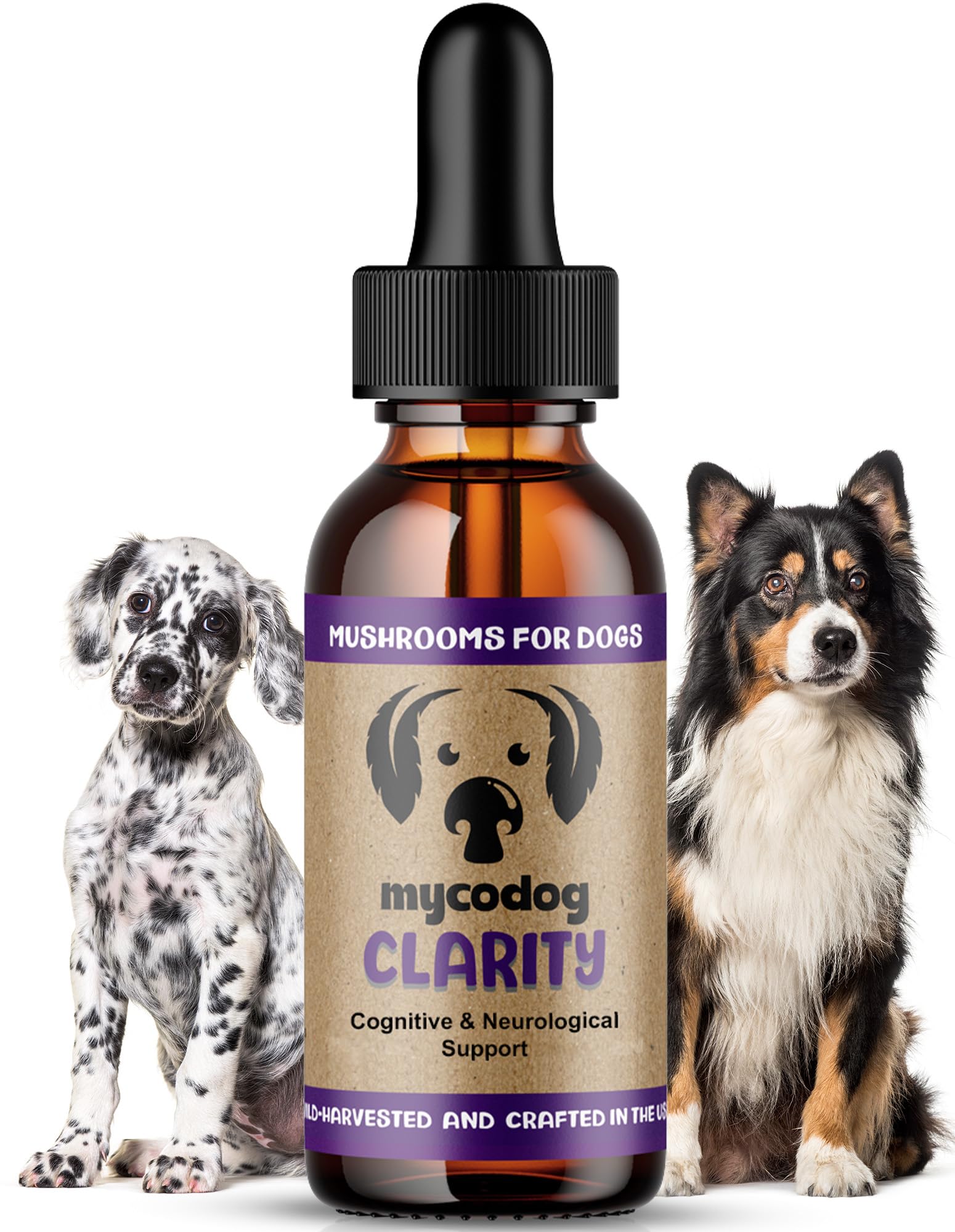 MycoDog Clarity bottle closeup showing a natural mushroom blend for dog cognitive support.