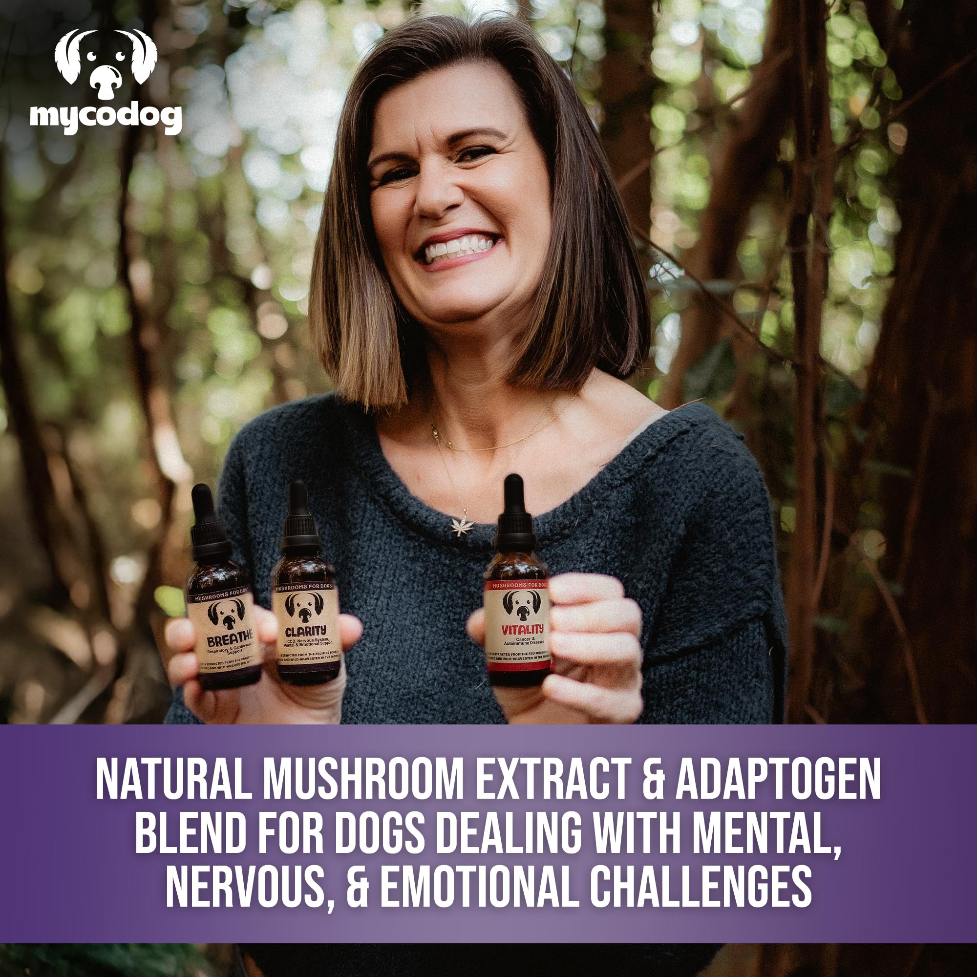 MycoDog Clarity capsules displayed with a dog-friendly presentation for brain health.