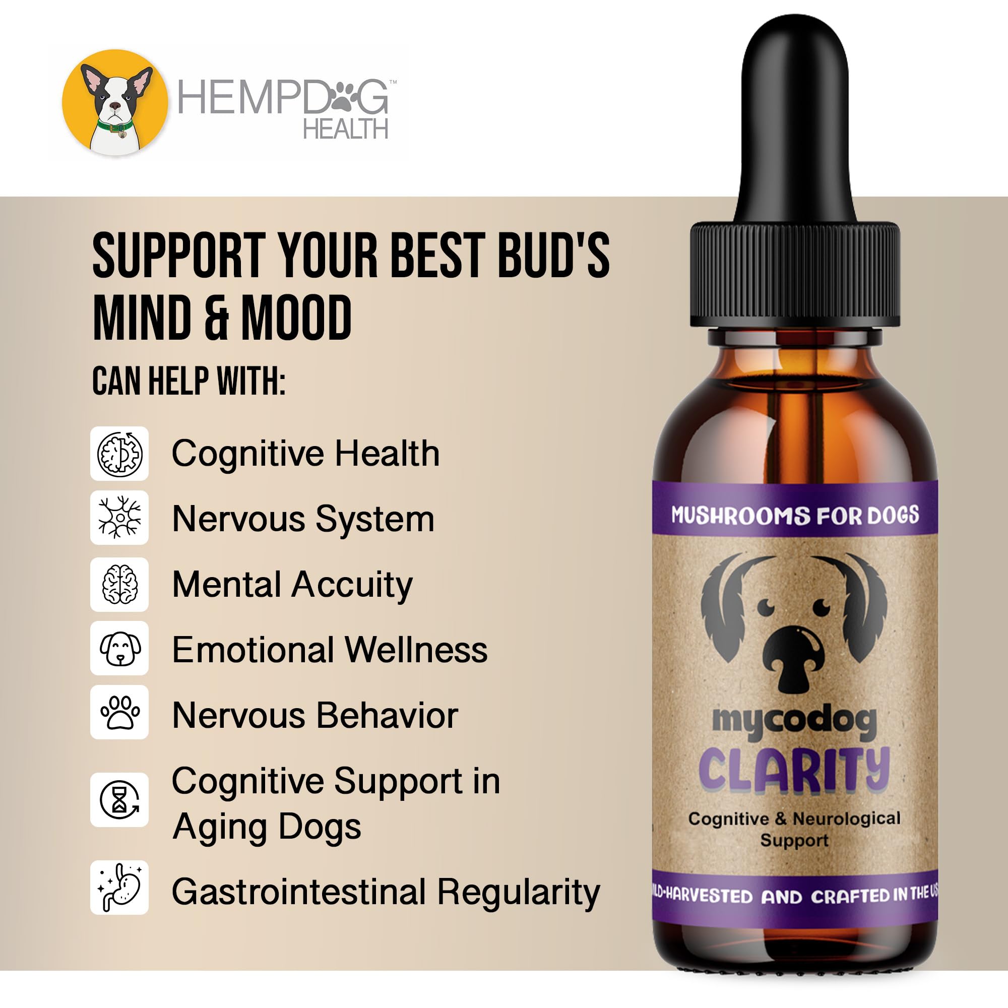 Dog with wagging tail beside MycoDog Clarity, highlighting mood support.