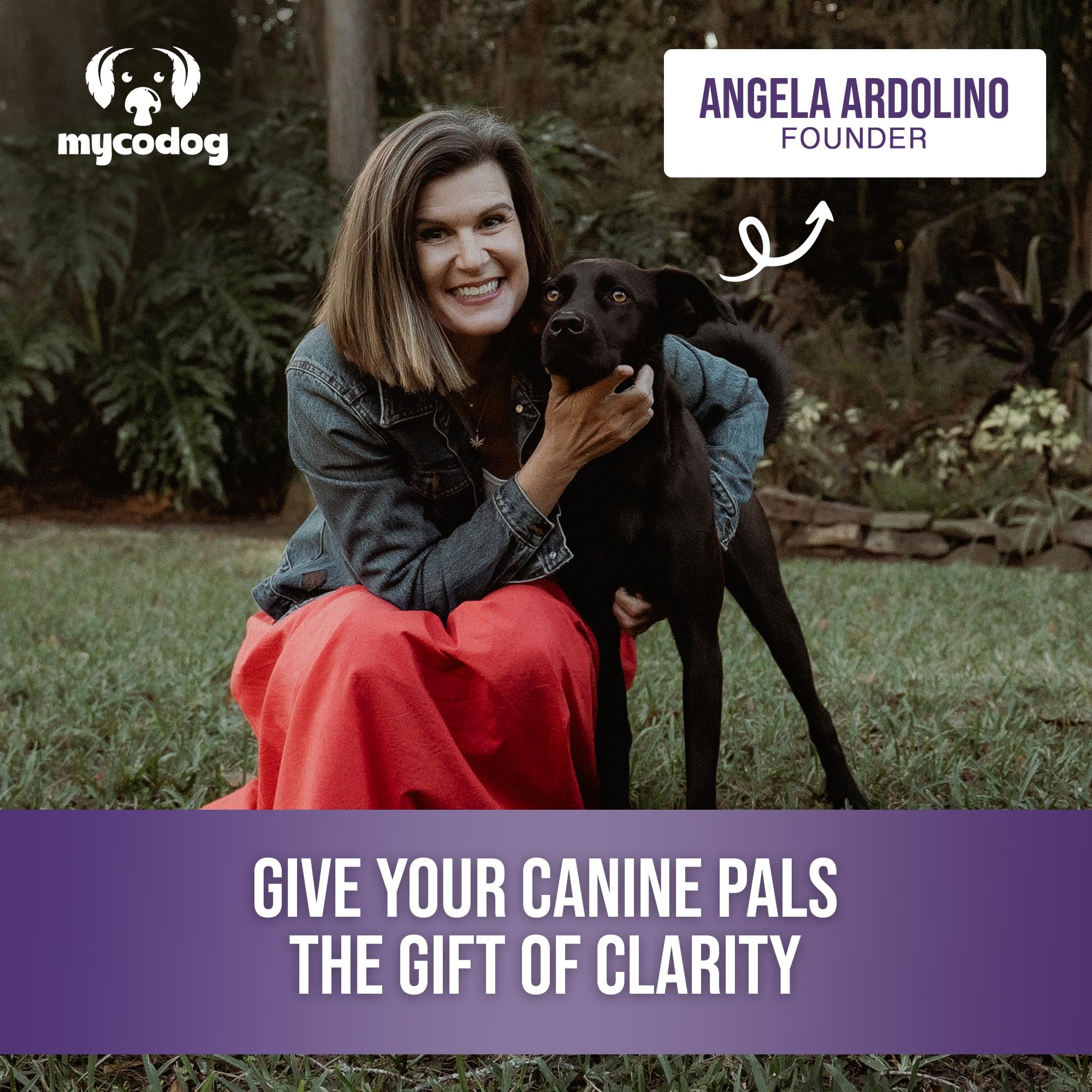 All-natural mushrooms and adaptogens shown in MycoDog Clarity jar.