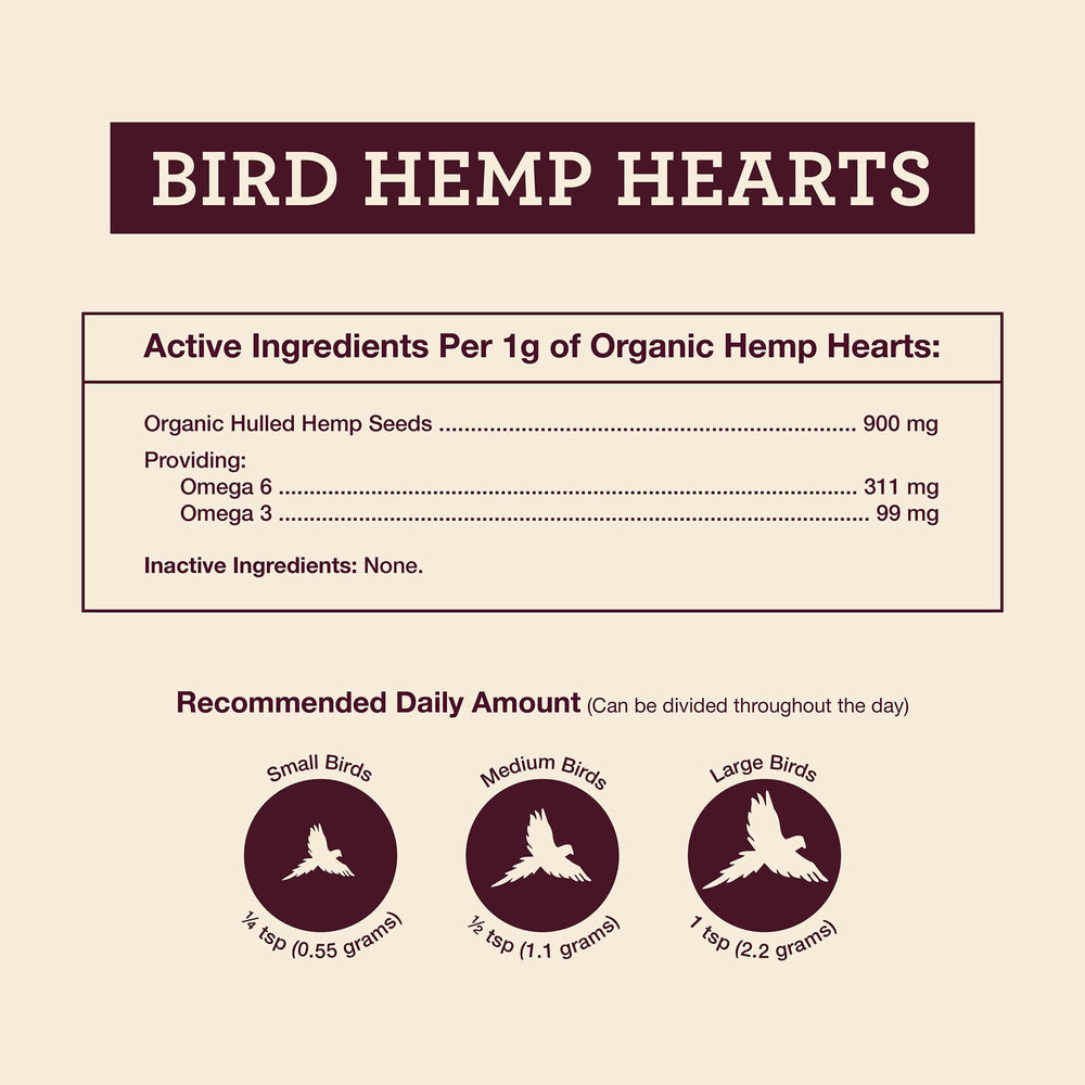 Calm bird enjoying a snack of Hemp Well hemp hearts for birds.
