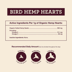 Calm bird enjoying a snack of Hemp Well hemp hearts for birds.