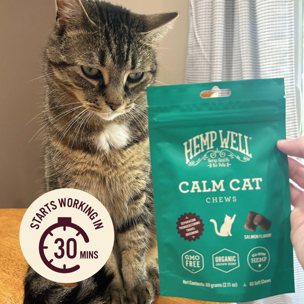 Hemp Well Calm Cat Soft Chews chamomile ingredient highlight for soothing blend.