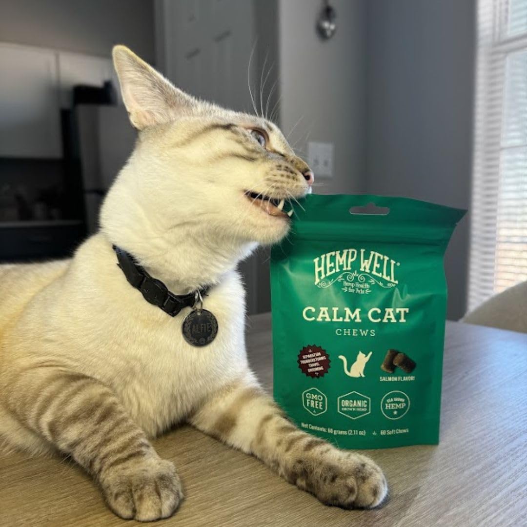 Hemp Well Calm Cat Soft Chews dosing guide close-up for easy use.