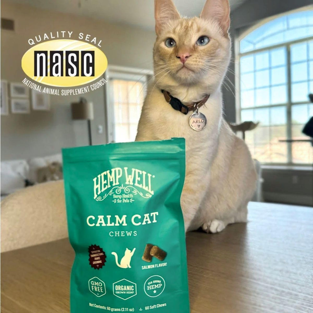Hemp Well Calm Cat Soft Chews near grooming appointment for calmer experience.