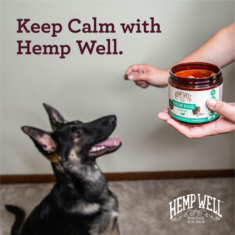 Herbal hemp blend and ingredients listed on the chew packaging