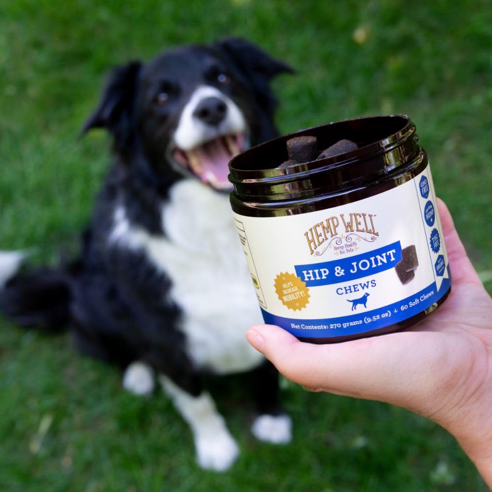 Hemp Well Hip and Joint Soft Chews help dogs enjoy a flavorful wellness treat.