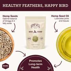 Bird with shiny feathers thanks to Hemp Well hemp hearts for birds.