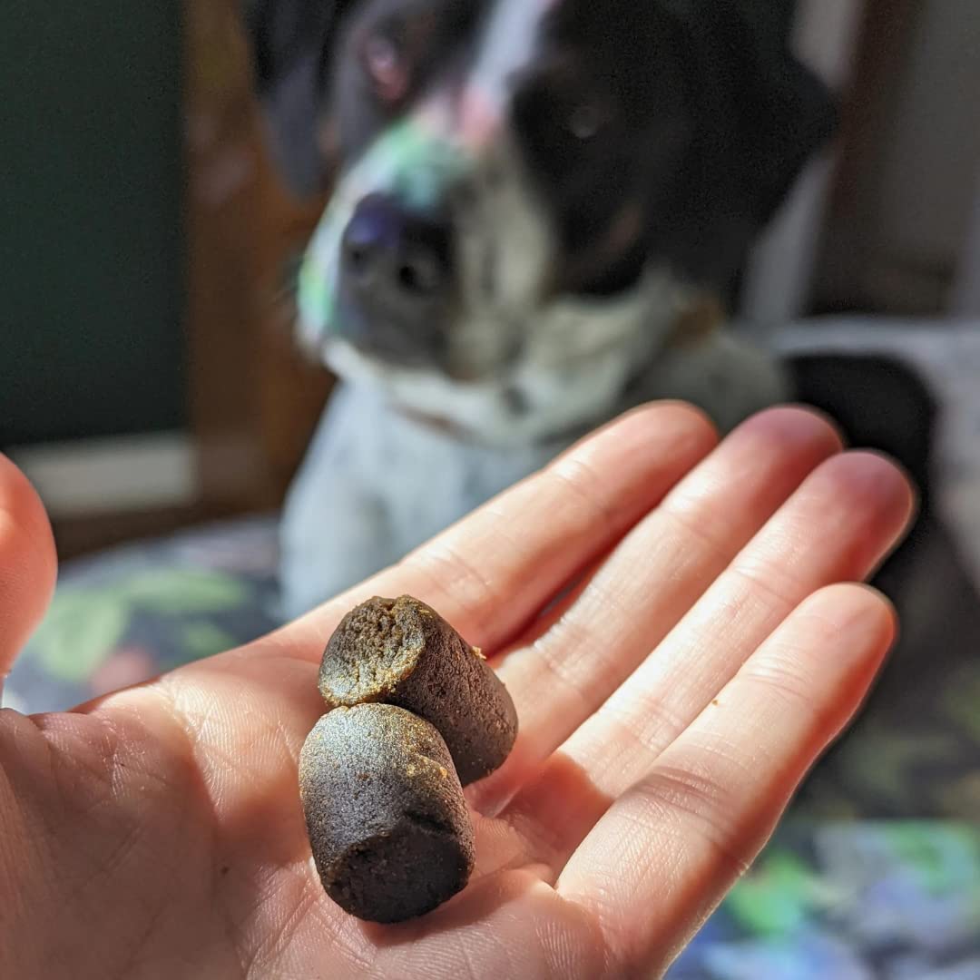 Relaxed dog after taking Hemp Well Relief soft chews, suggesting calming effects