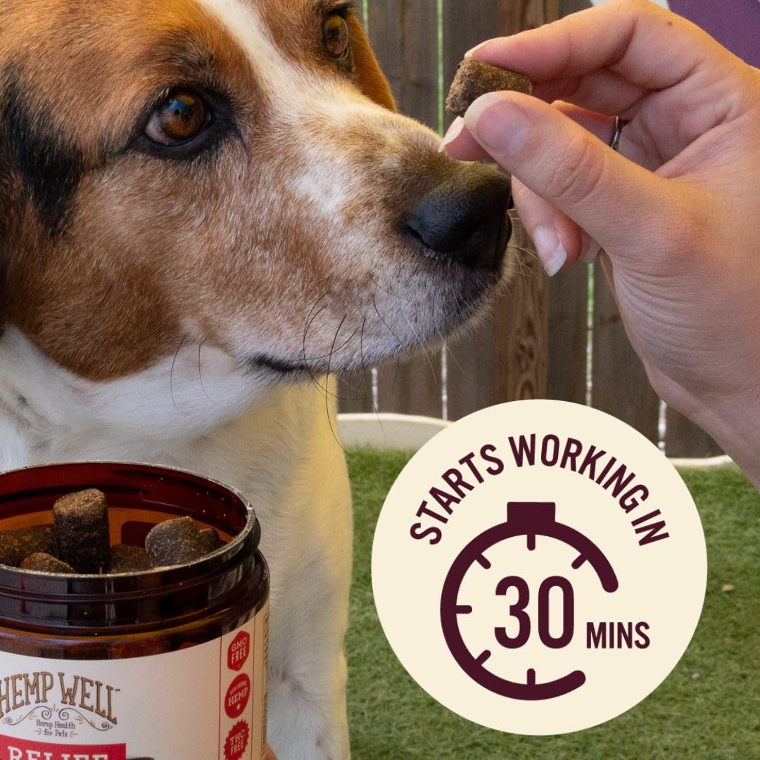 Open tub of Hemp Well Relief dog soft chews showing fresh, scent-friendly packaging