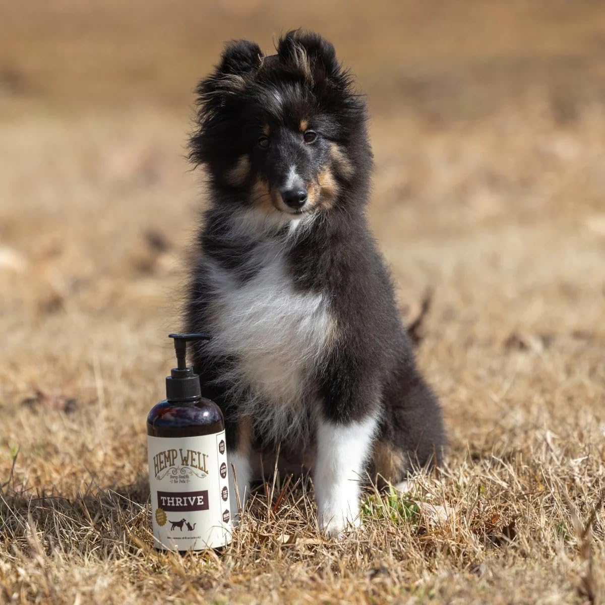 Hemp Well Thrive Oil ingredients seal—USA-grown organic purity.