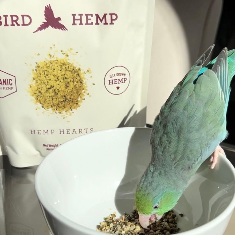 US-grown organic hemp hearts from Hemp Well ensure quality for birds.