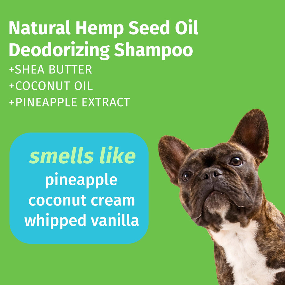 Close-up of creamy lather showing soft, hydrated coat from hemp and pineapple.