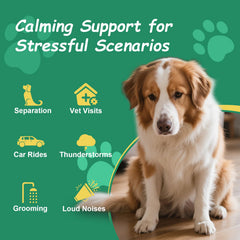 Hemyum calming chews bottle helps relaxed travel for dogs.