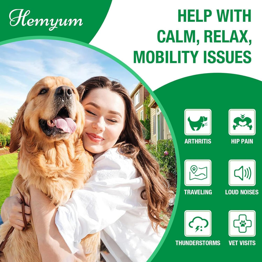 Hemyum pet calm effect scene highlighting anxiety relief and relaxed behavior.