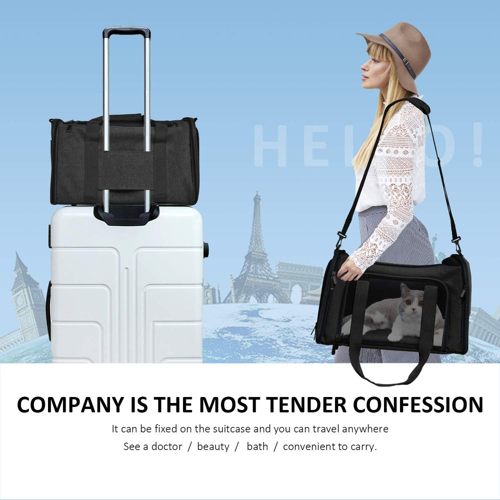 Henkelion collapsible carrier is easy to store between car rides and vet visits.
