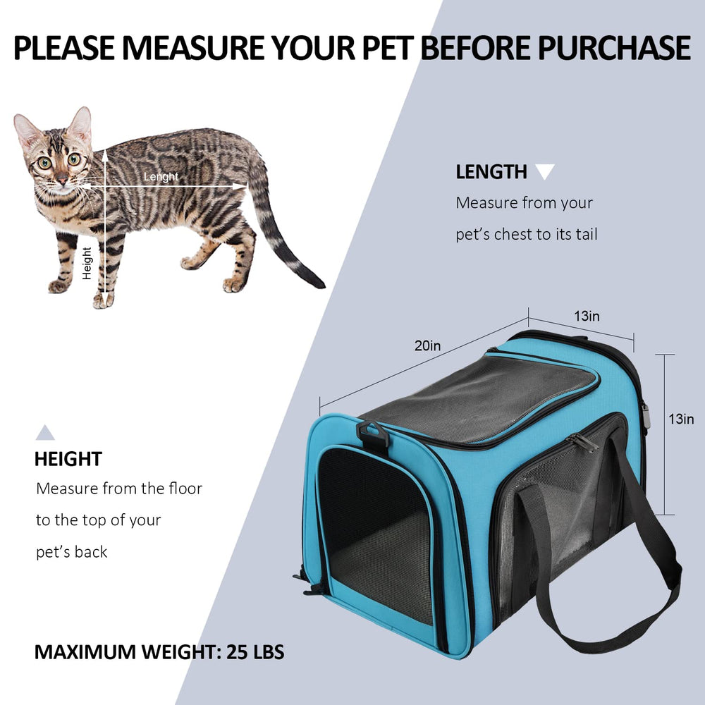 Henkelion large pet carrier blue inside view reveals roomy interior