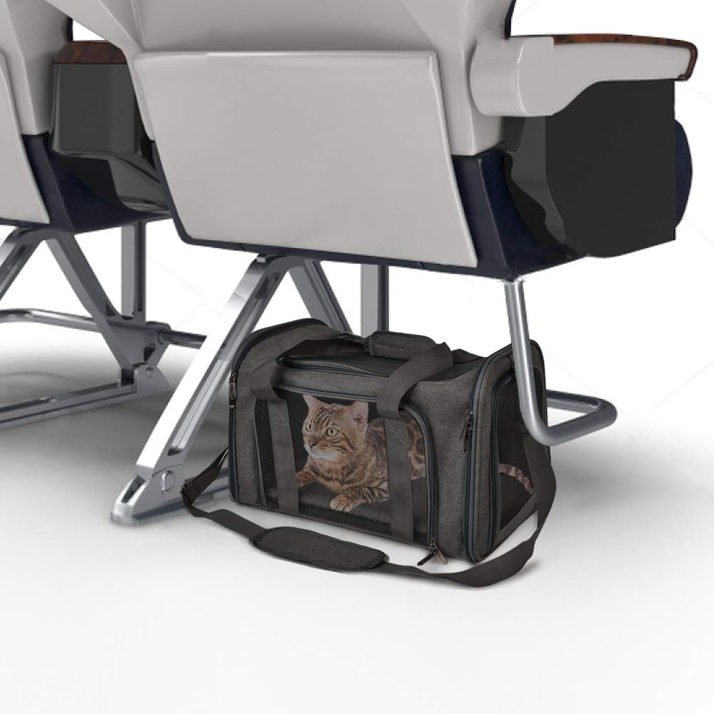 Henkelion carrier with mesh panels for clear visibility and airflow.