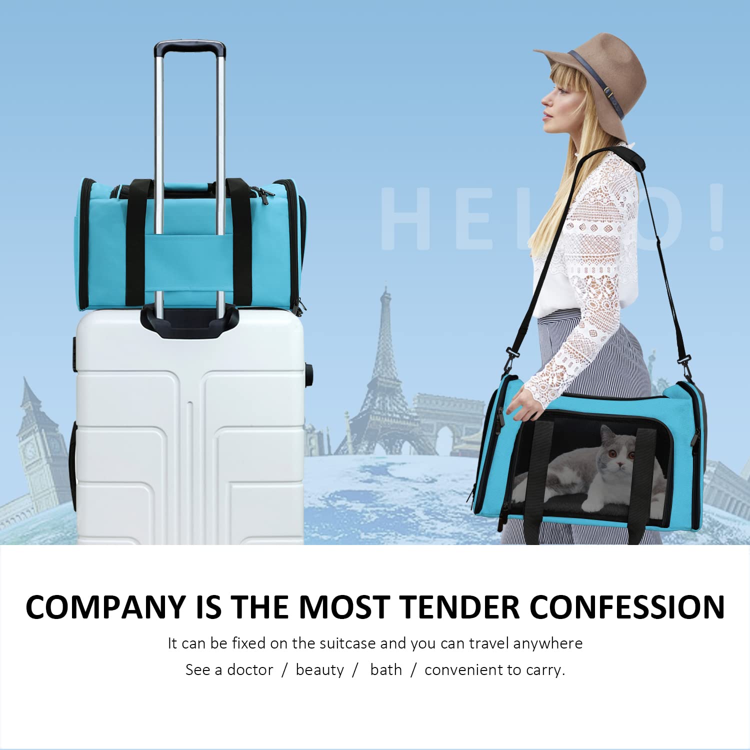 Henkelion pet carrier blue airline-approved label, cabin travel ready