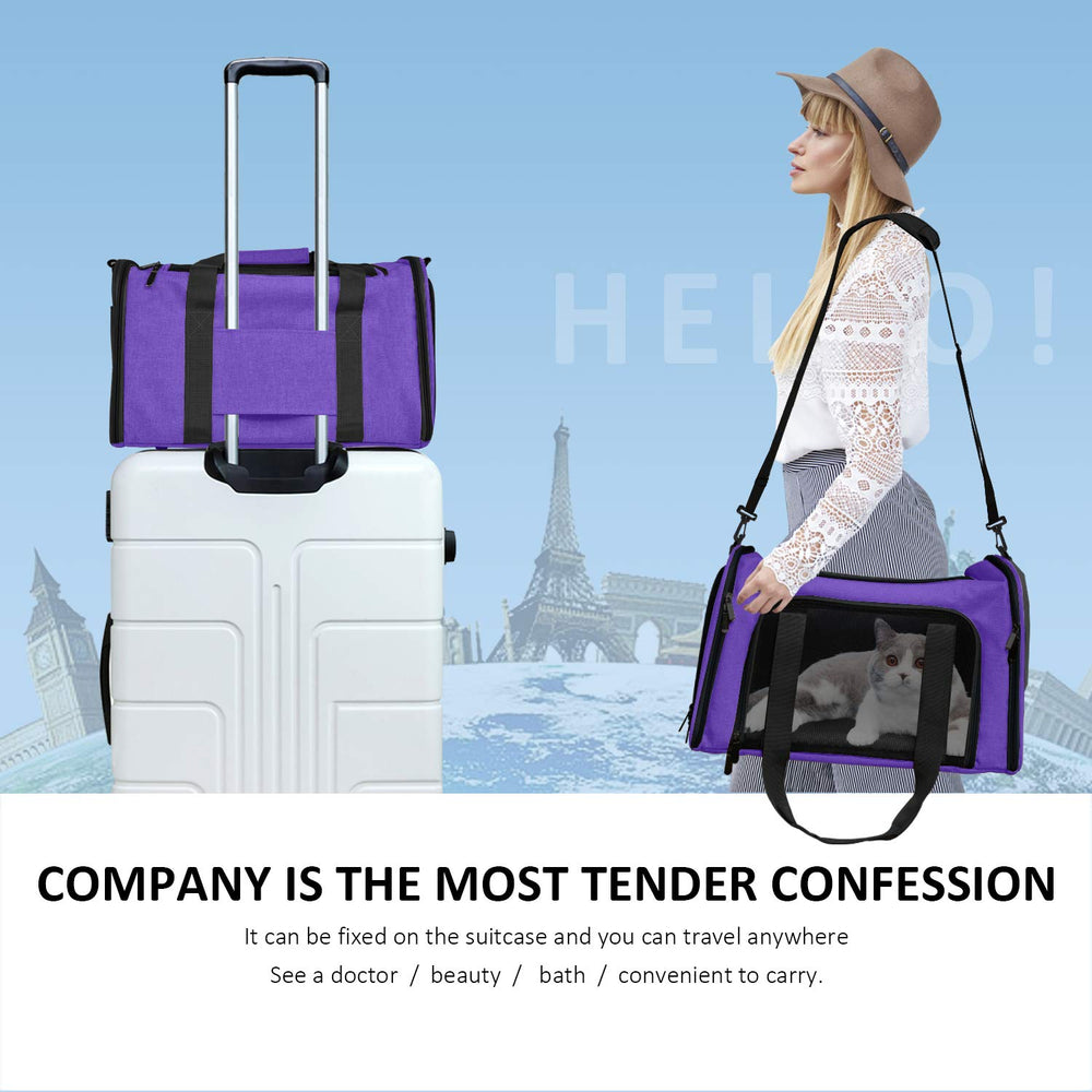 Henkelion pet carrier folds flat for compact storage and travel