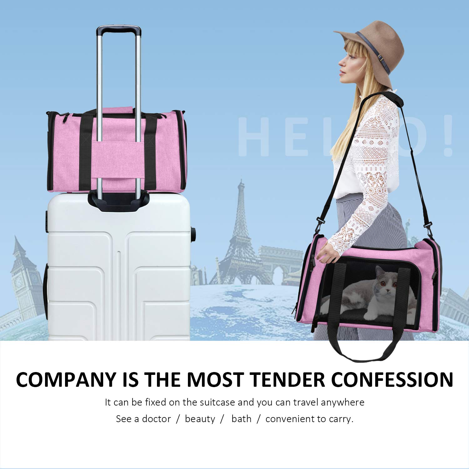Henkelion pet carrier folded storage pink folds flat for home or on-the-go use