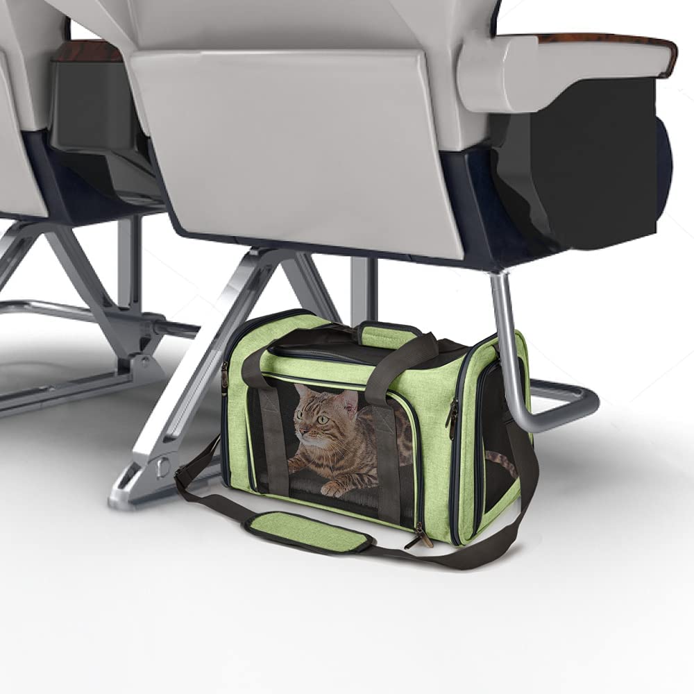 Dual-loop handles provide balanced carrying for safer travel.