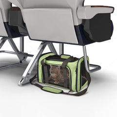 Dual-loop handles provide balanced carrying for safer travel.