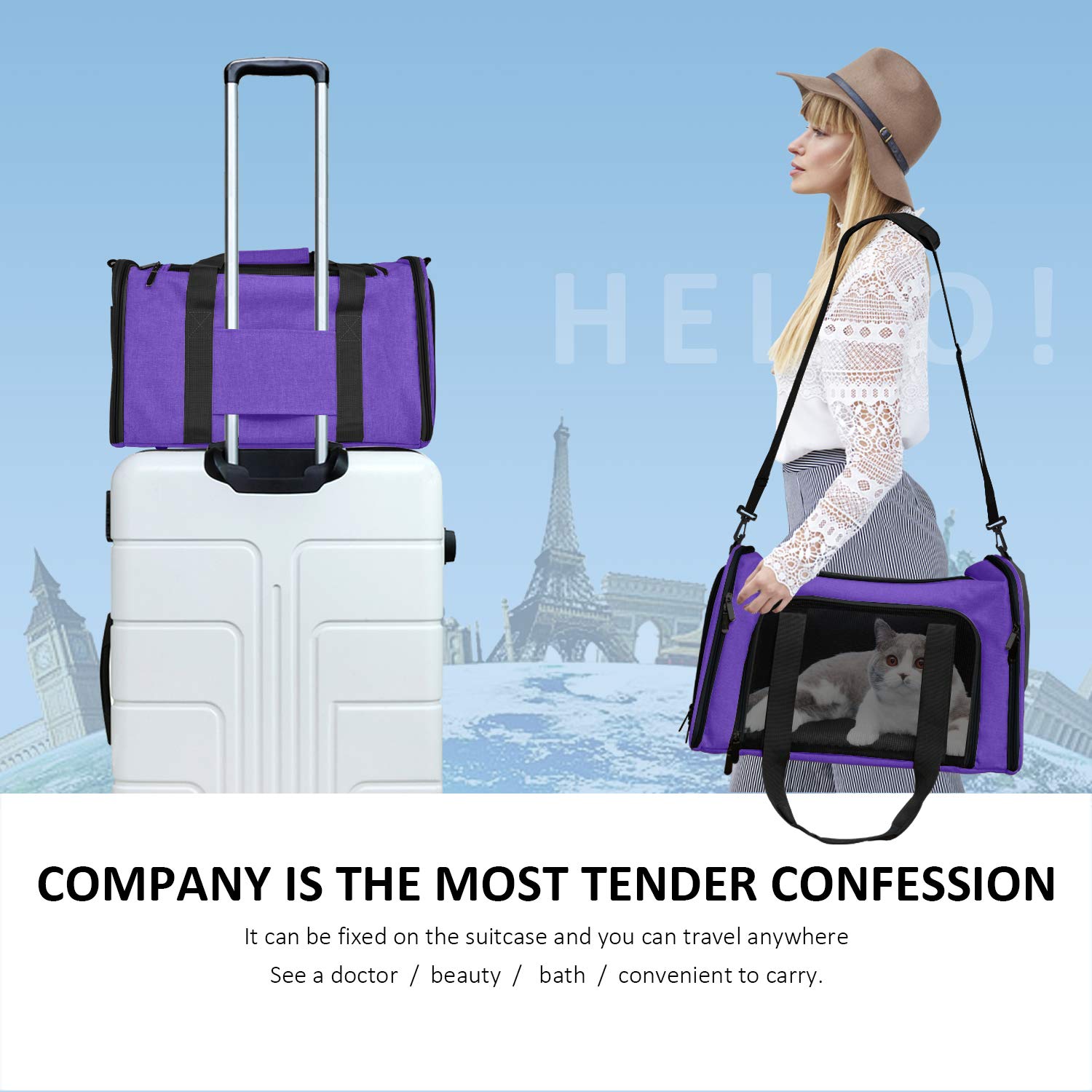Henkelion Pet Carrier supports small to medium pets up to 15 lbs