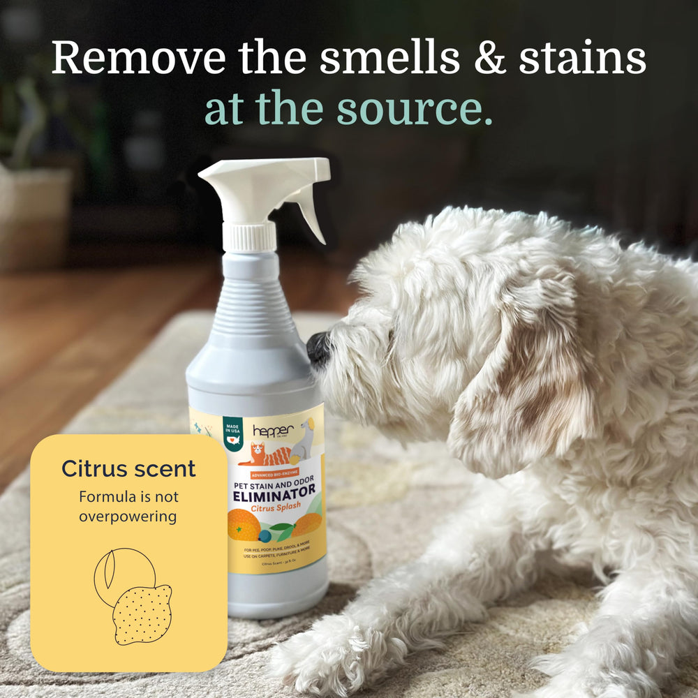 Hepper application area on furniture showing surface-safe cleaning