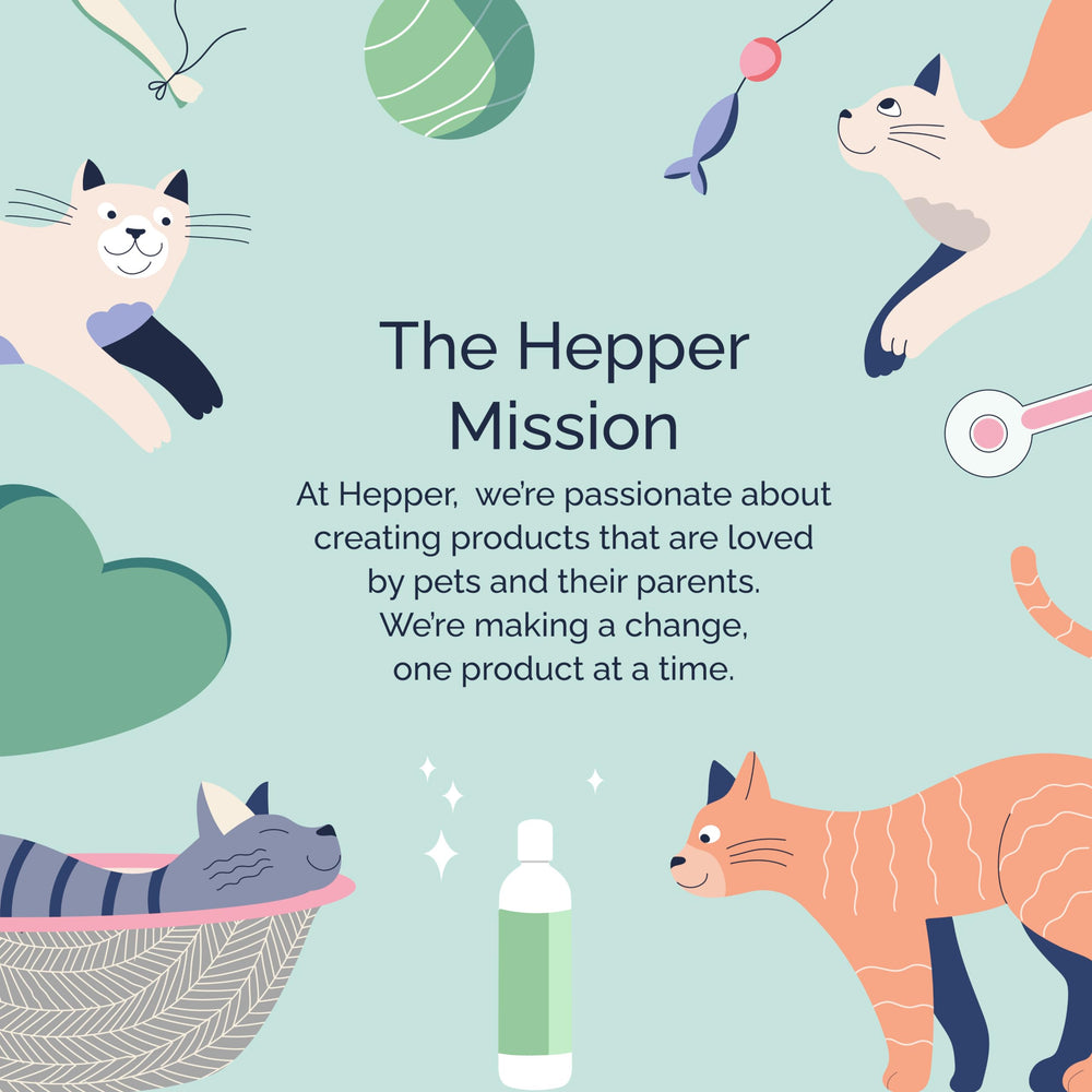 Hepper Oatmeal Shampoo post-wash coat looks soft and glossy.