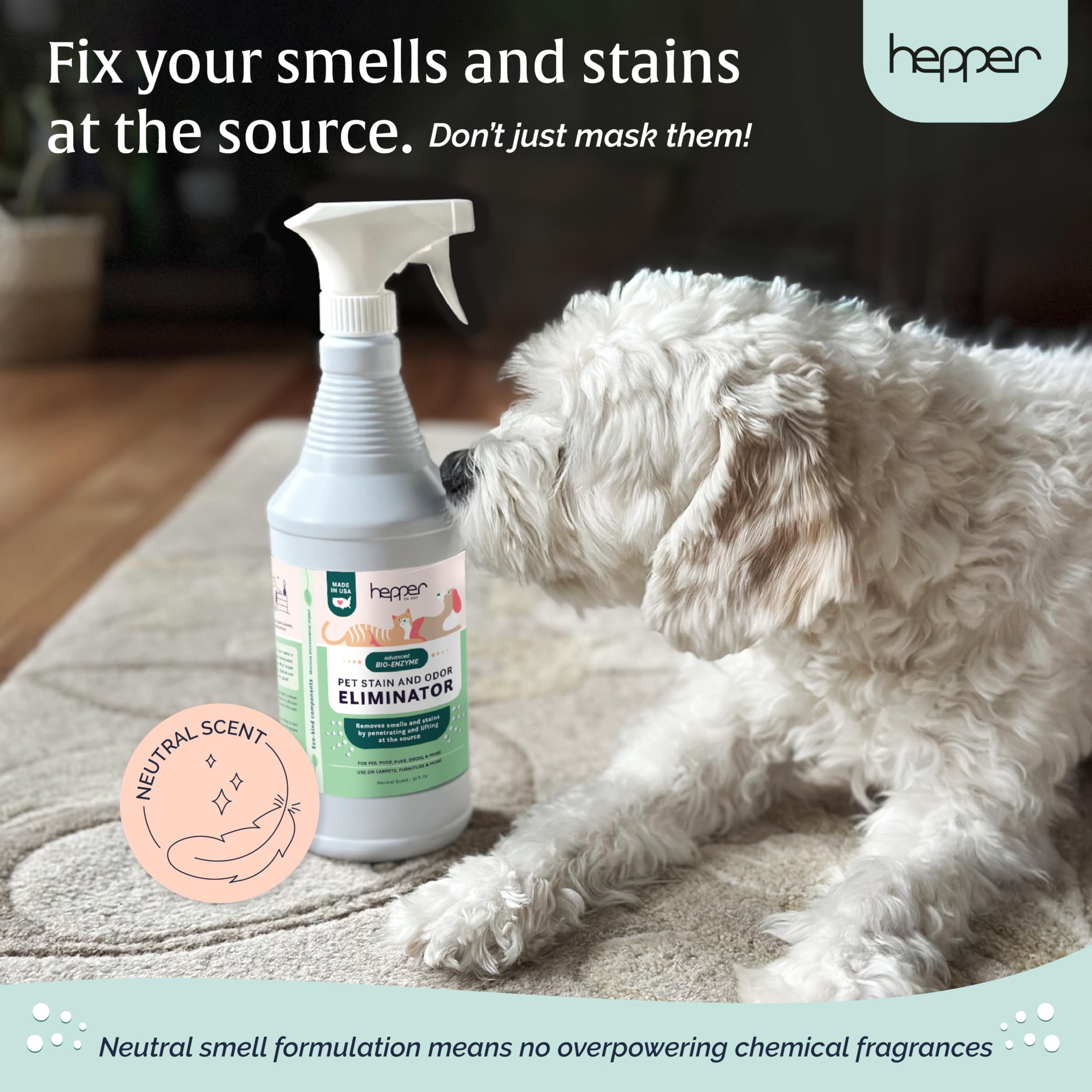 Hepper safe for homes with pets near furniture and fabrics
