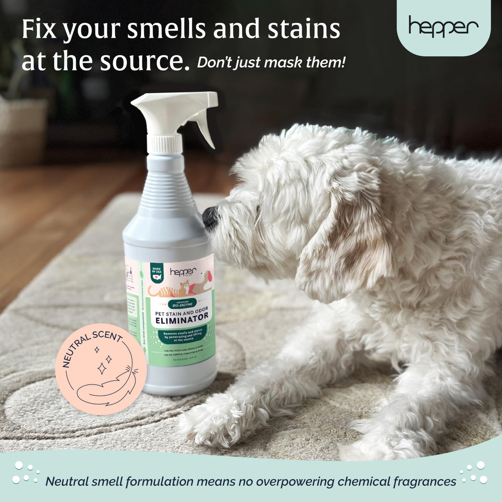 Hepper safe for homes with pets near furniture and fabrics