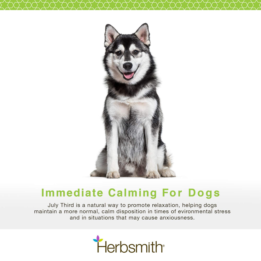 Herbsmith July Third chews in bowl offer quick anxiety relief.