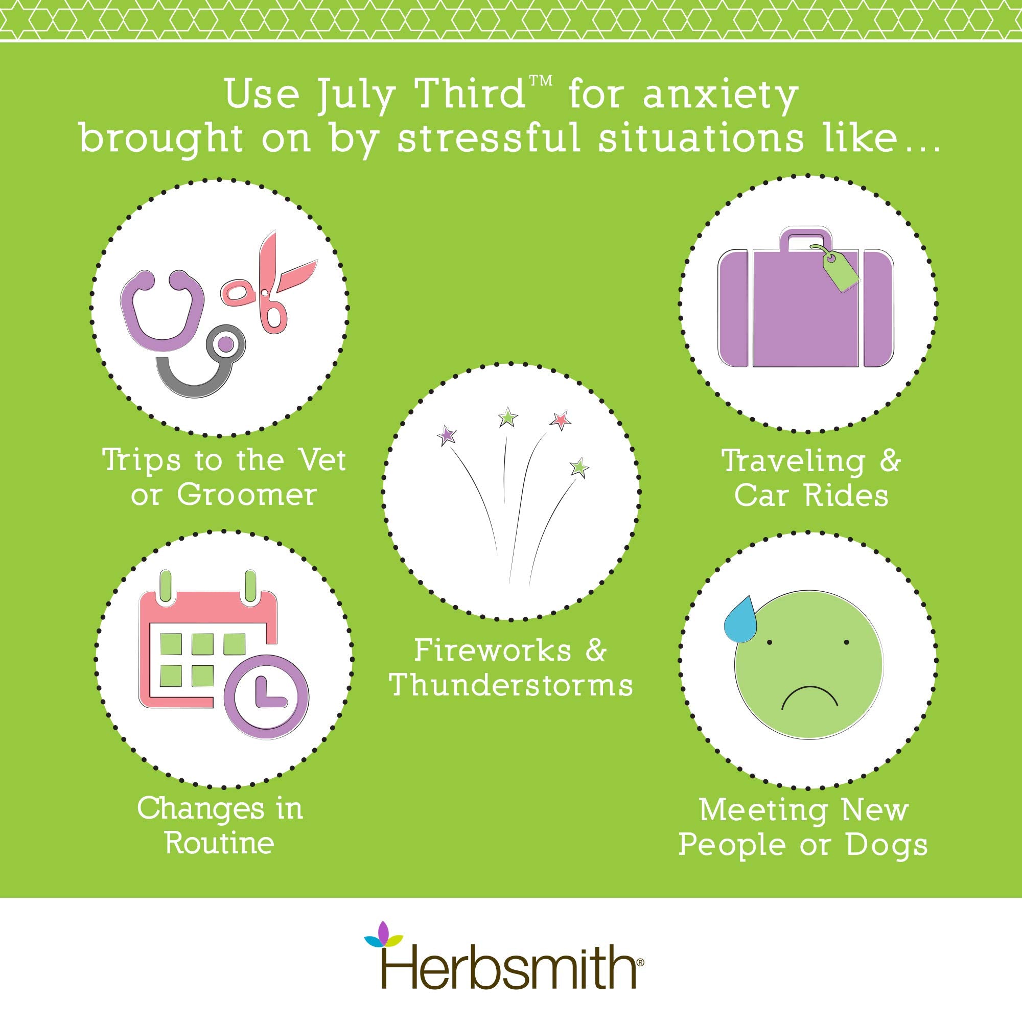 Herbsmith July Third with dog and owner supports relaxed moments.