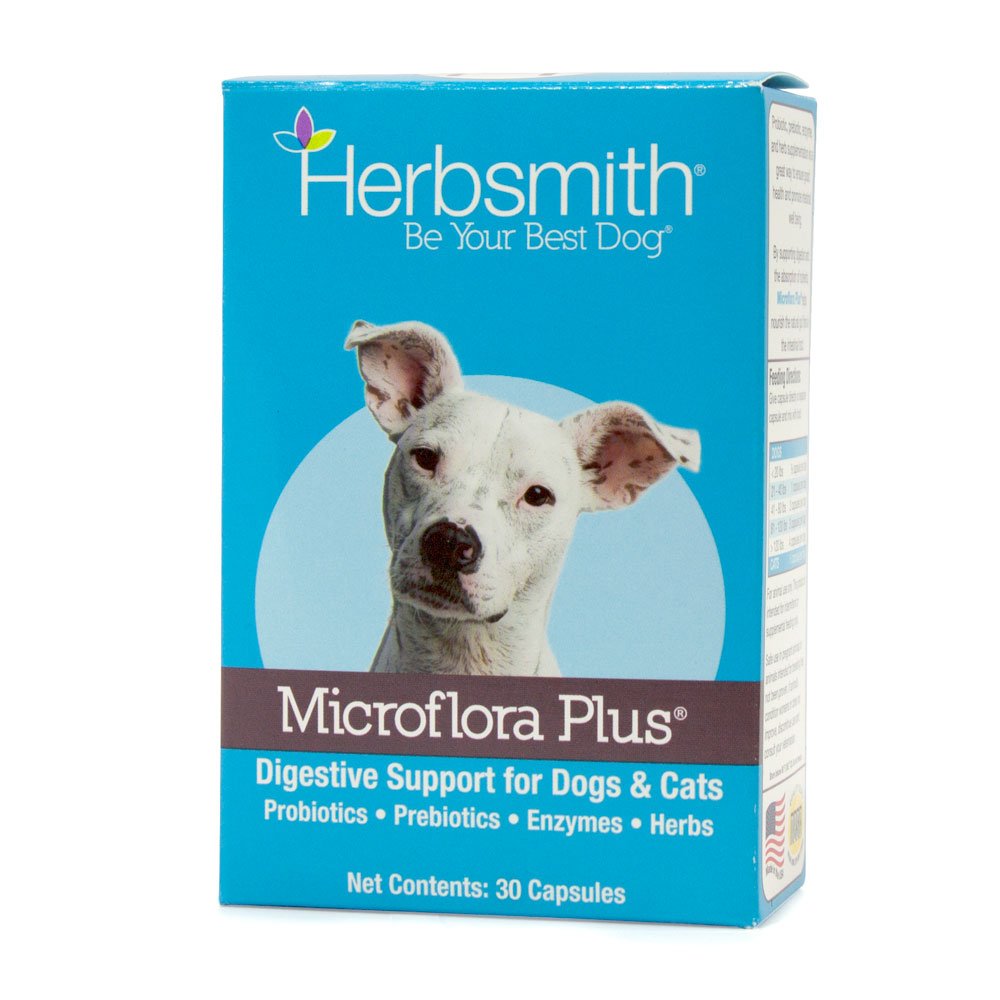 Herbsmith Microflora Plus bottle for daily dog digestion support.